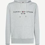 ТОЛСТОВКА С КАПЮШОНОМ С ЛОГОТИПОМ CORE TOMMY