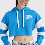 УКОРОЧЕННАЯ СВИТШОТ TJW TOMMY 85